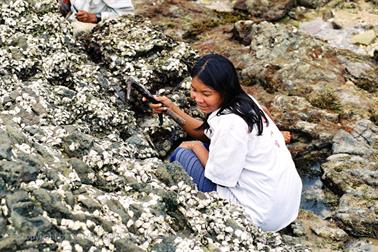 16 Thailand 2002 F1080025 Khao Lak Muschelsucherin_478